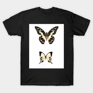 WHITE BUTTERFLY BUTTERFLIES PRINT BOTANICAL T-Shirt